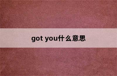 got you什么意思